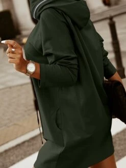 Women‘s Hoodie Dress Winter Dress Black Army Green Red Long Sleeve Pure Color Zipper Pocket Winter Fall Hooded Stylish Modern Mature Fall Dress 2022 S M L XL XXL 3XL 4XL 5XL -Casual Print Dress Sales bjnipd1664423547713