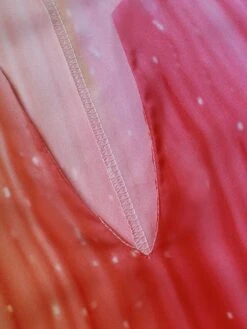 Women's Casual Dress Ethnic Dress Swing Dress Graphic Pocket Colorful Print V Neck Maxi Dress Vintage Classic Daily Weekend Long Sleeve Regular Fit Orange Summer SpringS-5XL 15 Women's Casual Dress Ethnic Dress Swing Dress Graphic Pocket Colorful Print V Neck Maxi Dress Vintage Classic Daily Weekend Long Sleeve Regular Fit Orange Summer SpringS-5XL -Casual Print Dress Sales cqxcoe1681190363209