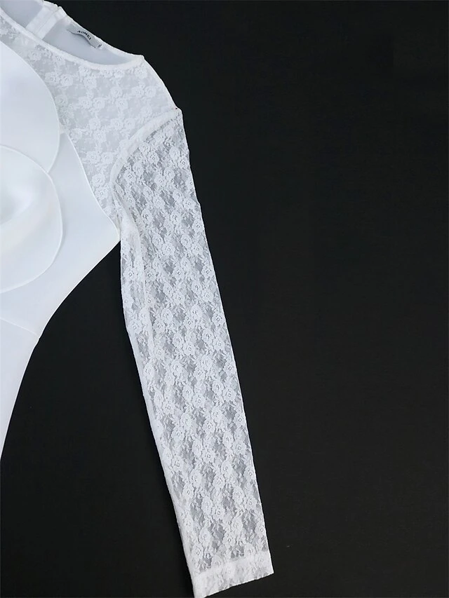 Women's Plus Size Curve Party Dress Lace Dress Bodycon Plain Midi Dress Long Sleeve Lace Bow Crew Neck Fashion Party White Fall Winter XL XXL 3XL 4XL 13 Women's Plus Size Curve Party Dress Lace Dress Bodycon Plain Midi Dress Long Sleeve Lace Bow Crew Neck Fashion Party White Fall Winter XL XXL 3XL 4XL - Image 13