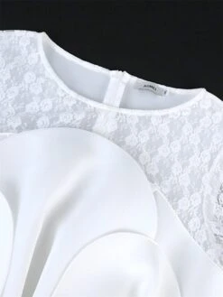 Women's Plus Size Curve Party Dress Lace Dress Bodycon Plain Midi Dress Long Sleeve Lace Bow Crew Neck Fashion Party White Fall Winter XL XXL 3XL 4XL 24 Women's Plus Size Curve Party Dress Lace Dress Bodycon Plain Midi Dress Long Sleeve Lace Bow Crew Neck Fashion Party White Fall Winter XL XXL 3XL 4XL -Casual Print Dress Sales jgnbpi1694165782052