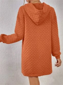 Women's Casual Dress Hoodie Dress Mini Dress Fashion Daily Outdoor Vacation Going Out Hoodie Solid Color Loose Fit Black White Pink S M L XL XXL 30 Women's Casual Dress Hoodie Dress Mini Dress Fashion Daily Outdoor Vacation Going Out Hoodie Solid Color Loose Fit Black White Pink S M L XL XXL -Casual Print Dress Sales jslhuc1695644465651