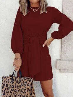 Women's Casual Dress White Dress Summer Dress Mini Dress Knot Front Daily Date Going Out Fashion Basic Stand Collar Long Sleeve 2023 Regular Fit Black White Wine Color S M L XL Size -Casual Print Dress Sales kkrlpr1690861747888