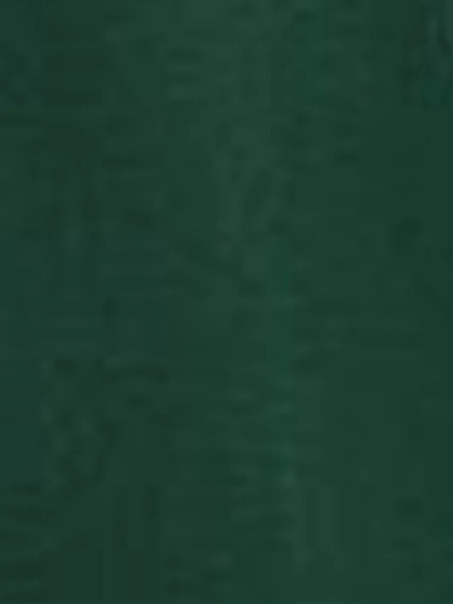 Women's Plus Size Curve Casual Dress Sheath Dress Plain Midi Dress Long Sleeve Lace Up Split V Neck Fashion Outdoor Green Fall Winter XL XXL 3XL 4XL 7 Women's Plus Size Curve Casual Dress Sheath Dress Plain Midi Dress Long Sleeve Lace Up Split V Neck Fashion Outdoor Green Fall Winter XL XXL 3XL 4XL - Image 7