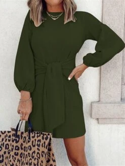 Women's Casual Dress White Dress Summer Dress Mini Dress Knot Front Daily Date Going Out Fashion Basic Stand Collar Long Sleeve 2023 Regular Fit Black White Wine Color S M L XL Size -Casual Print Dress Sales pqknjq1690861749688