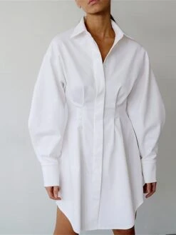 Women's Shirt Dress Casual Dress Mini Dress Outdoor Daily Date Polyester Fashion Basic Shirt Collar Button Long Sleeve Fall Winter 2023 Regular Fit Black White Brown Pure Color S M L 25 Women's Shirt Dress Casual Dress Mini Dress Outdoor Daily Date Polyester Fashion Basic Shirt Collar Button Long Sleeve Fall Winter 2023 Regular Fit Black White Brown Pure Color S M L -Casual Print Dress Sales pwwyrn1695644827362