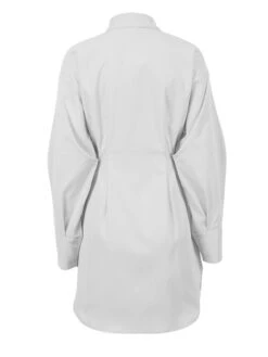Women's Shirt Dress Casual Dress Mini Dress Outdoor Daily Date Polyester Fashion Basic Shirt Collar Button Long Sleeve Fall Winter 2023 Regular Fit Black White Brown Pure Color S M L 38 Women's Shirt Dress Casual Dress Mini Dress Outdoor Daily Date Polyester Fashion Basic Shirt Collar Button Long Sleeve Fall Winter 2023 Regular Fit Black White Brown Pure Color S M L -Casual Print Dress Sales qsxwiy1695644834208