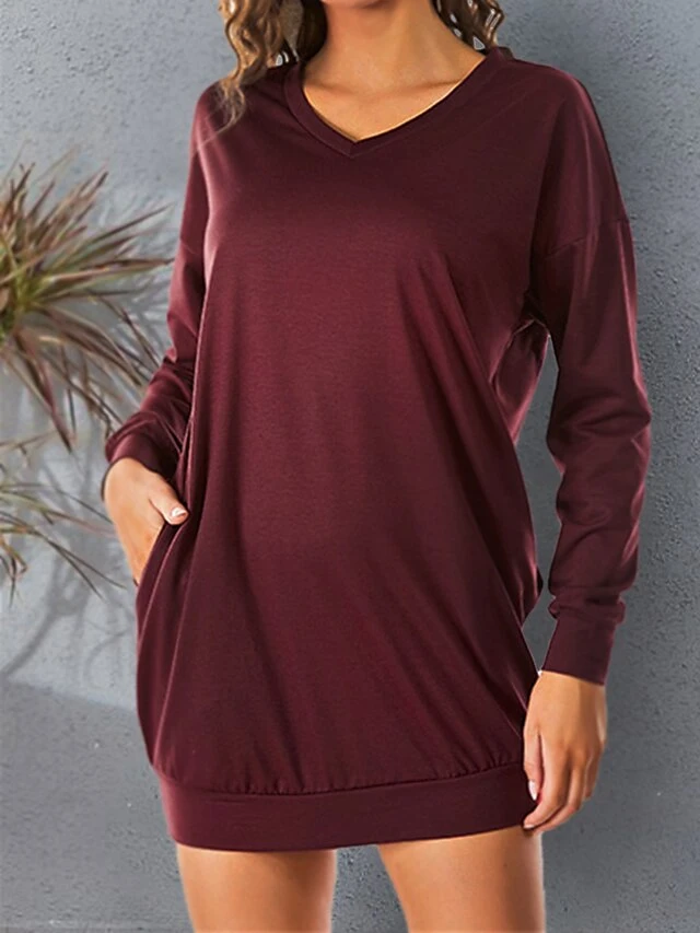 Women's Casual Dress Sweatshirt Dress Shift Dress Mini Dress Pocket Outdoor Street Daily Active Fashion V Neck Long Sleeve 2023 Loose Fit Black Wine Dark Grey Color S M L XL XXL Size 1 Women's Casual Dress Sweatshirt Dress Shift Dress Mini Dress Pocket Outdoor Street Daily Active Fashion V Neck Long Sleeve 2023 Loose Fit Black Wine Dark Grey Color S M L XL XXL Size