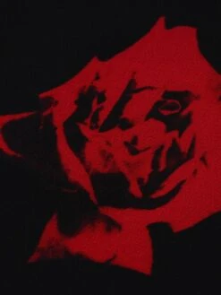 Women‘s Plus Size Curve Holiday Dress Floral V Neck Print Half Sleeve Fall Winter Casual Midi Dress Daily Dress -Casual Print Dress Sales vqejvk1631262757839